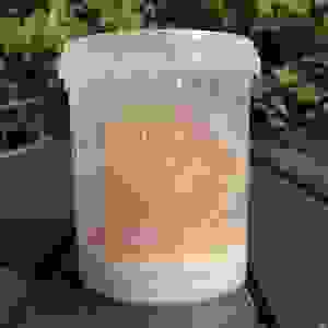 Fruitvlieg (Groot) Vers