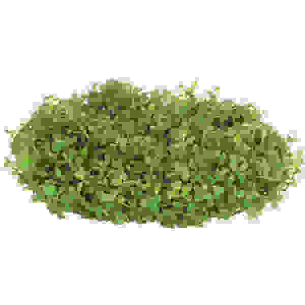 EASY GROW 45 HEMIANTHUS CALLITRICHOIDES